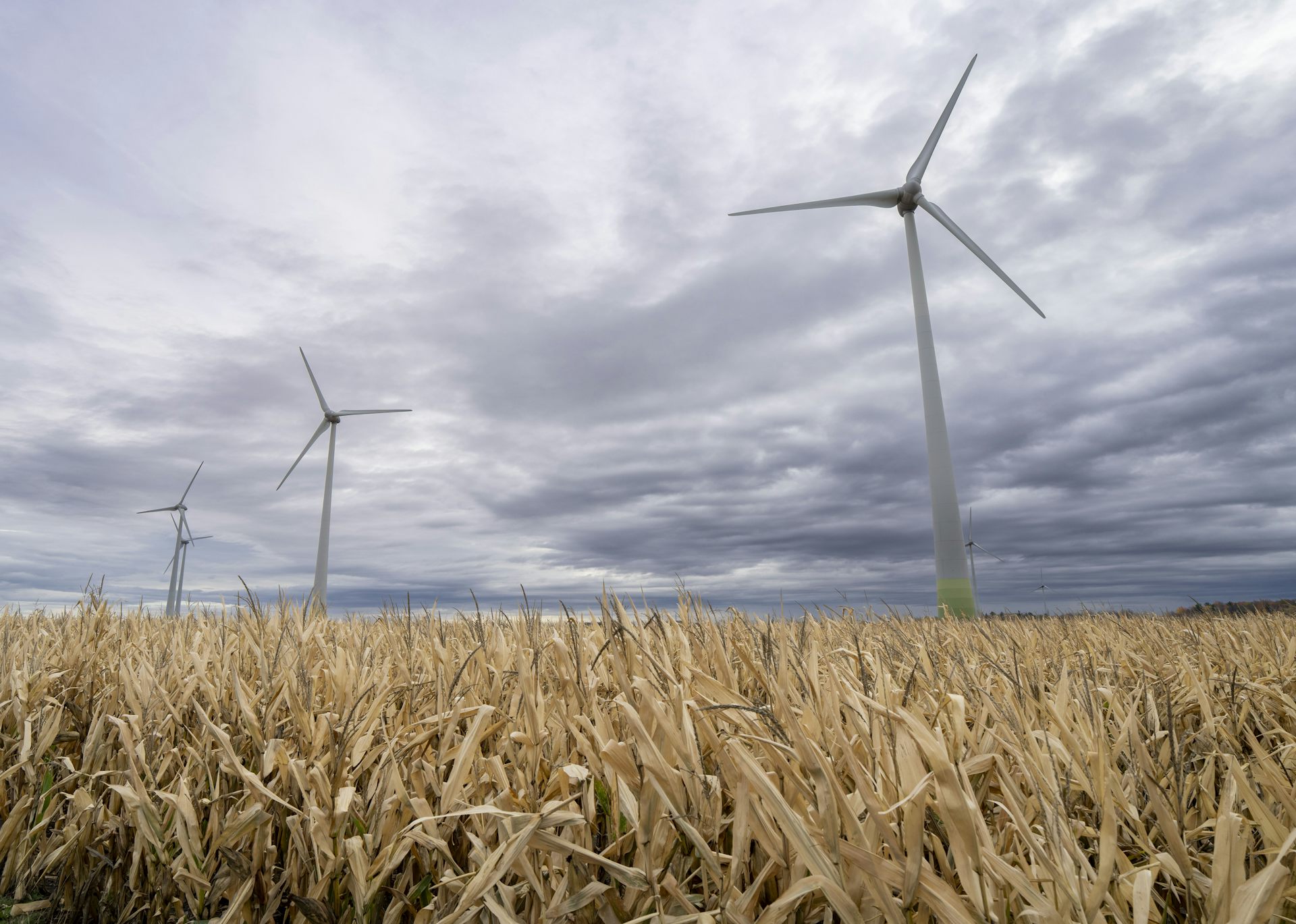 Wind turbines in a wind farm