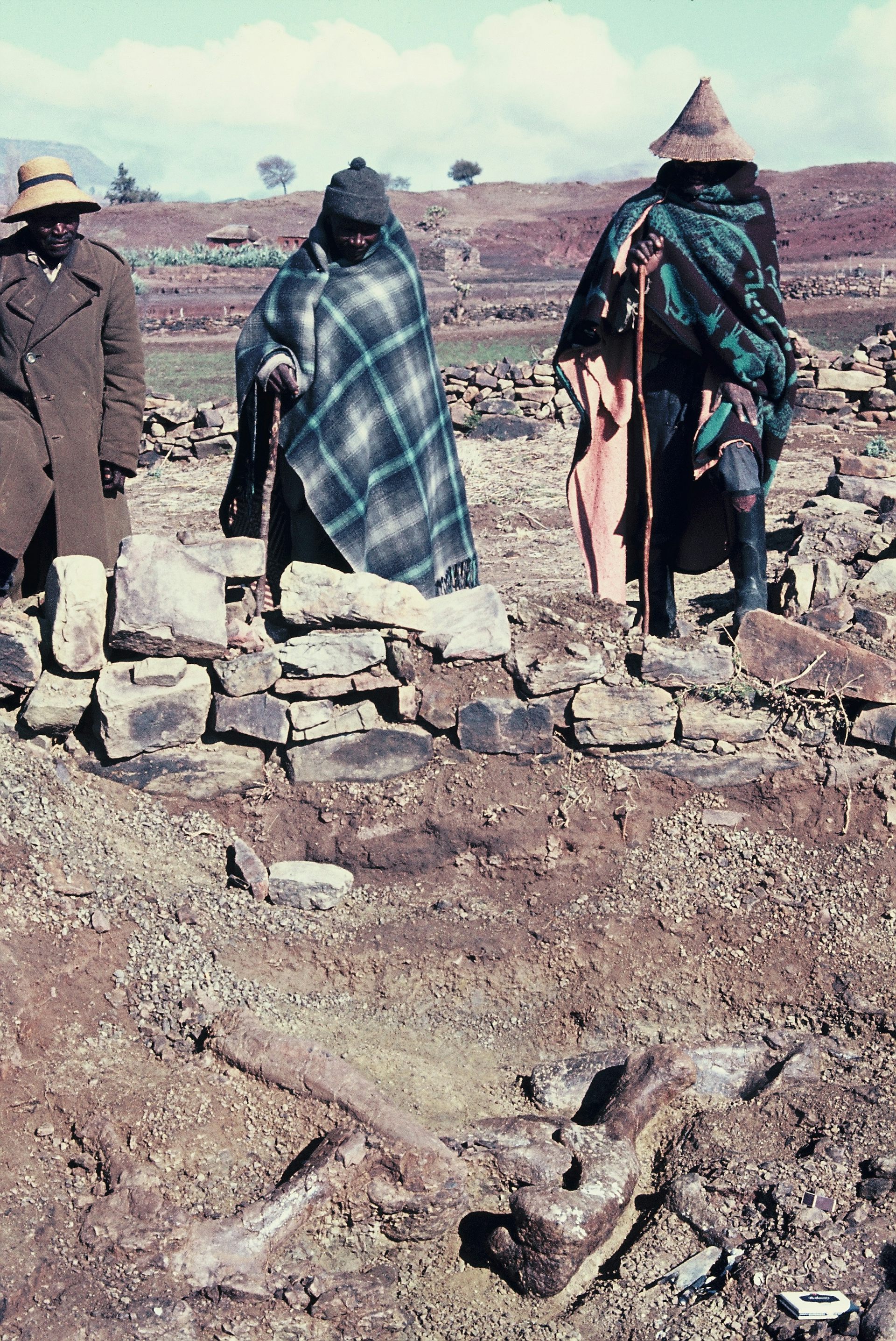 Men wrapped in blankets looking at large fossil bones