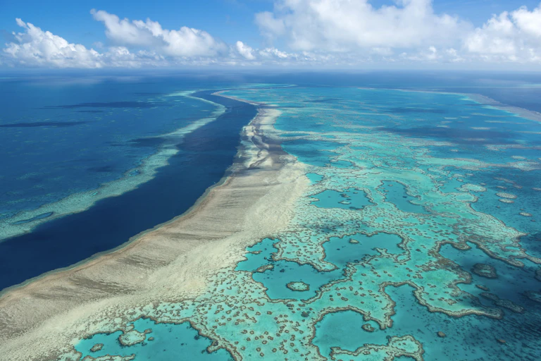 A coral reef in turquoise coloured water seen from the sky.