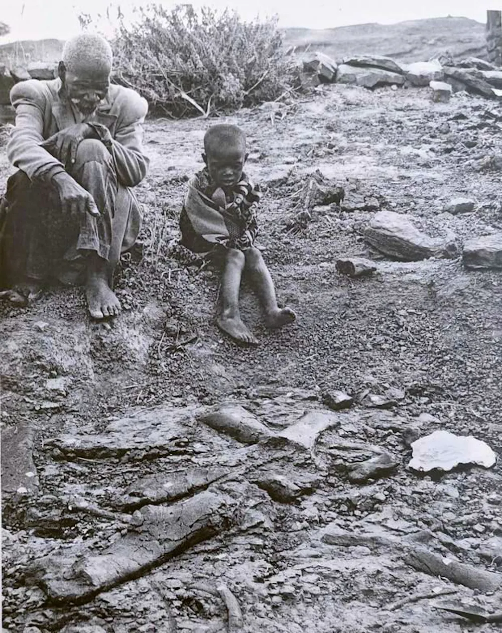 Fossil science owes a debt to indigenous knowledge: Lesotho missionary ...