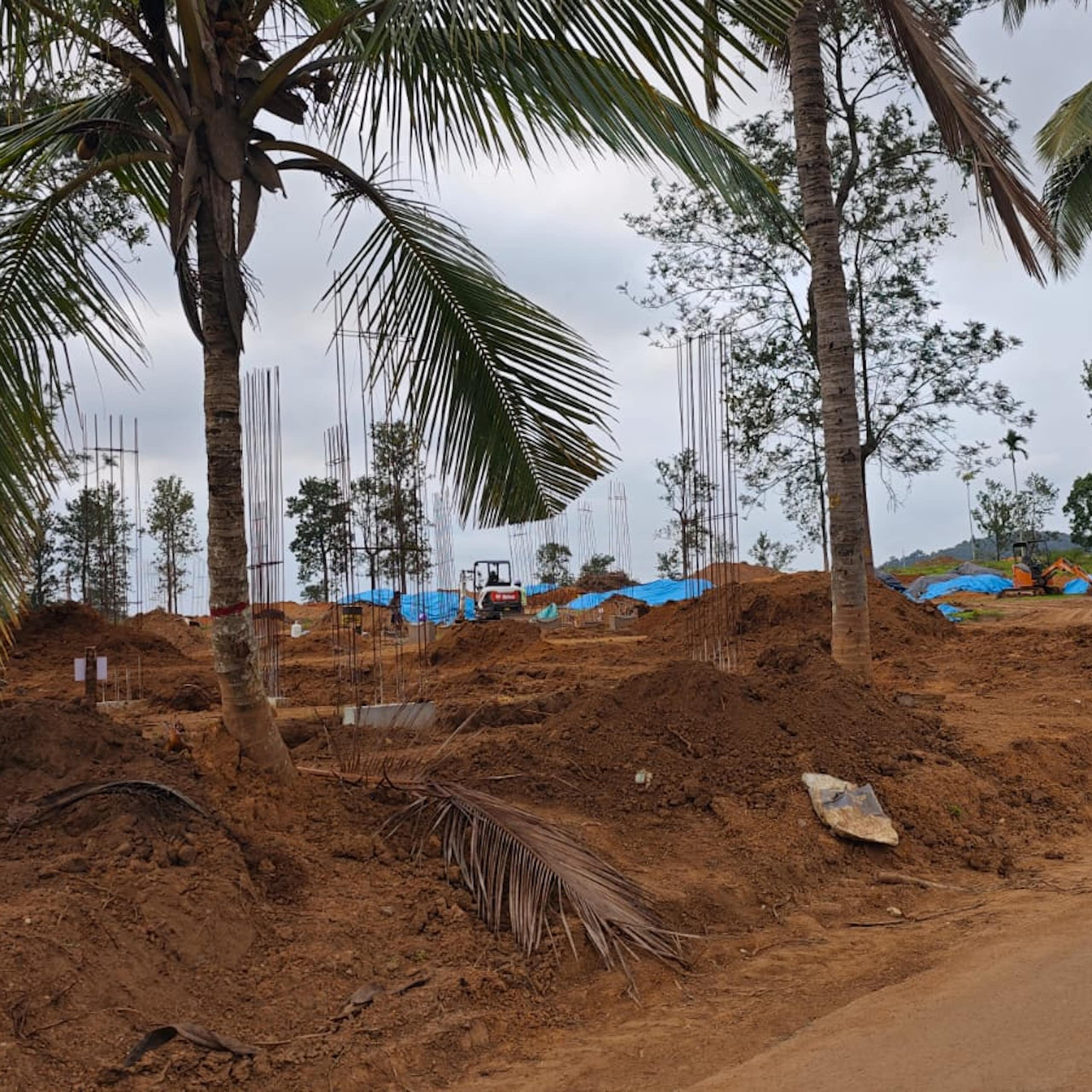 building on land with palm trees in India