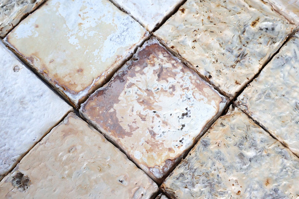 theconversation.com - Kumar Biswajit Debnath - We think of mushrooms as food. But mycelium-based blocks could be the future of construction