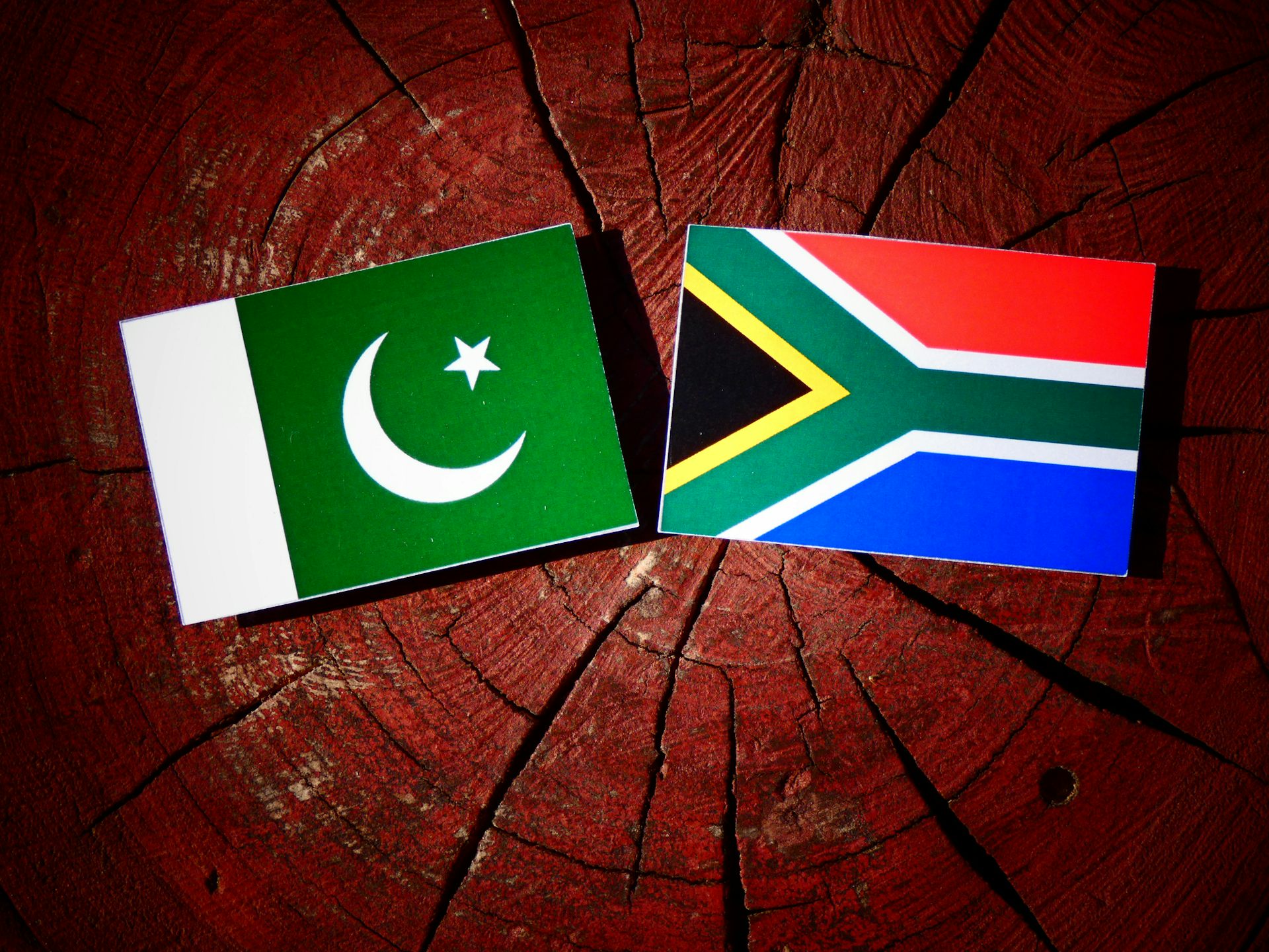 South Africa and Pakistan: Countries Brought to Their Knees by Elite Capture and Economic Paralysis