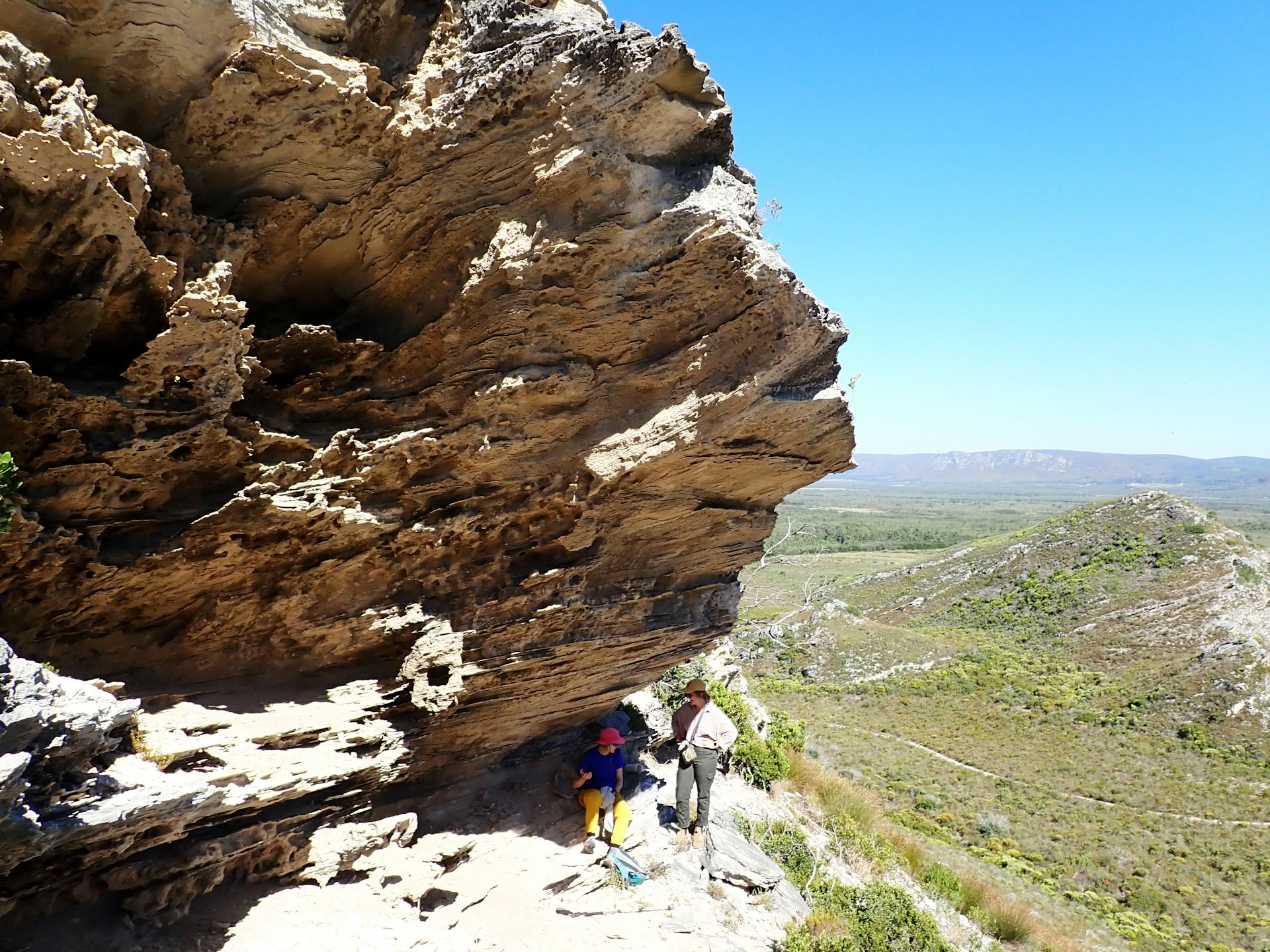 Rocky outcrop in landscape
