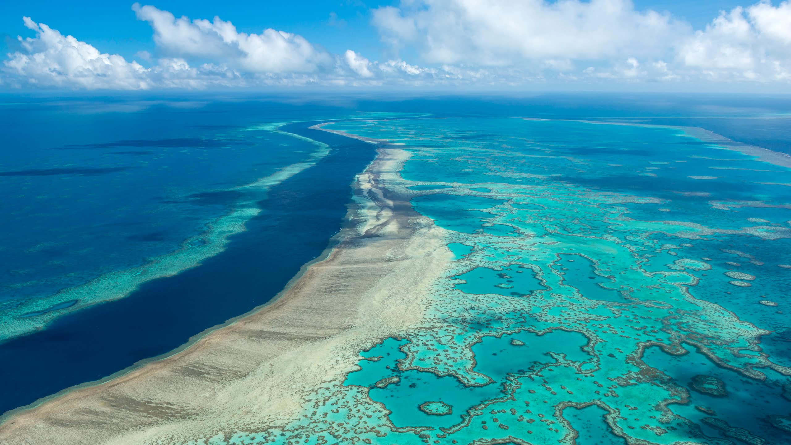 Podcast ‘Vozes do Sul’, episódio 2: No branqueamento de corais e na exploração da Foz do Amazonas, os maiores desafios dos oceanos do Brasil e da Austrália