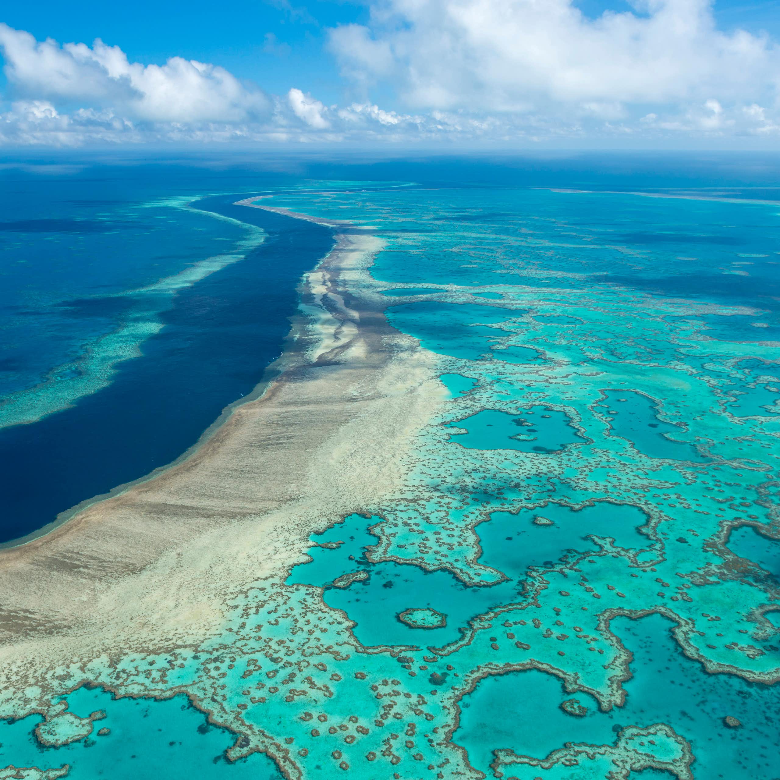 Podcast ‘Vozes do Sul’, episódio 2: No branqueamento de corais e na exploração da Foz do Amazonas, os maiores desafios dos oceanos do Brasil e da Austrália