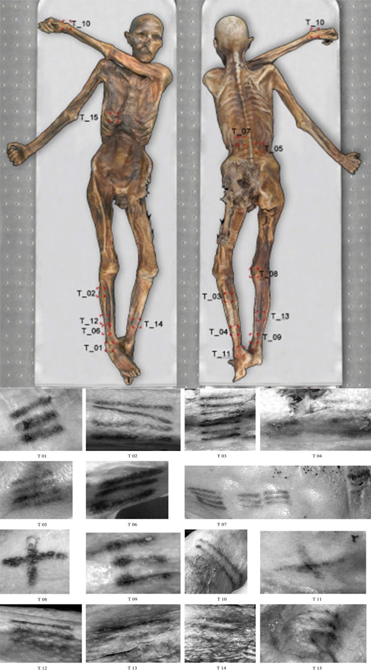 The reaction to ache in prehistory 4 file 20251201 56 1u3doj.jpg?ixlib=rb 4.1