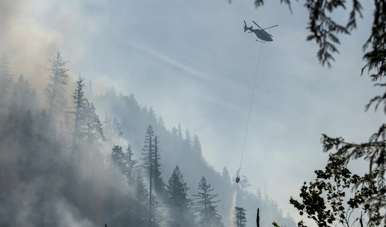 Un helicóptero arroja agua sobre un bosque humeante y montañoso.