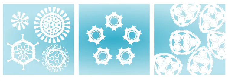 Three snowflake-like images of viruses