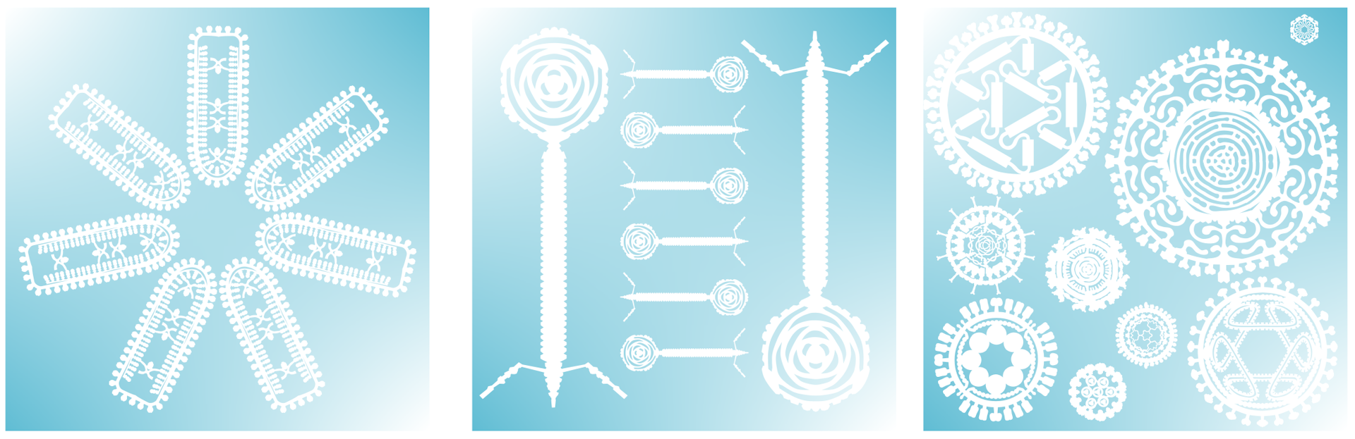 Three snowflake-like images of viruses