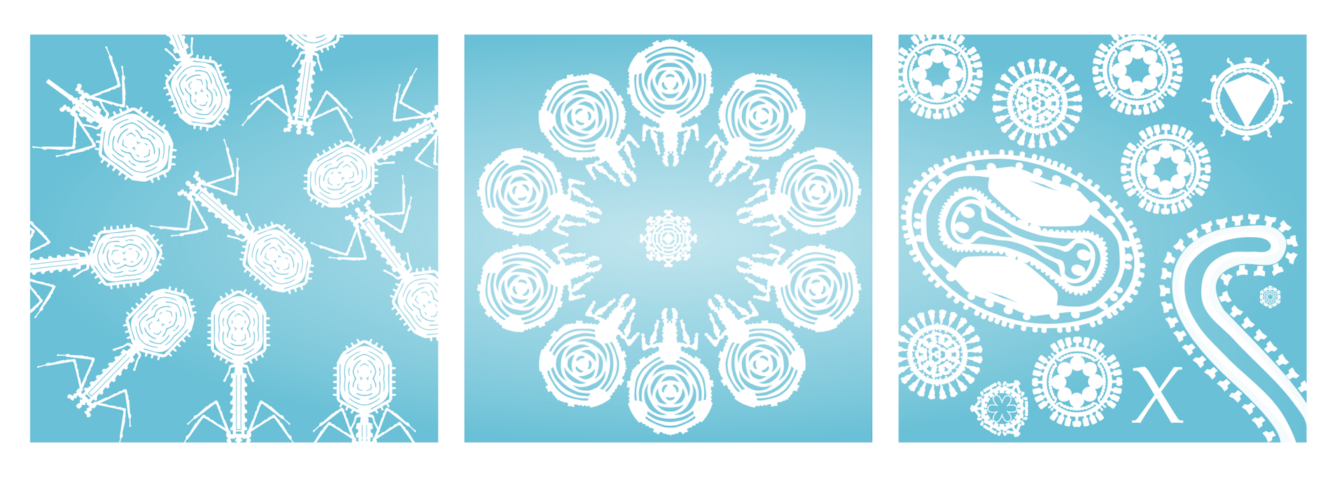 Three snowflake-like images of viruses