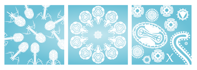 The twelve viruses of Christmas, and learn how to make your personal – out of paper 3 Three snowflake-like images of viruses