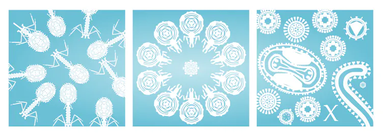 Three snowflake-like images of viruses