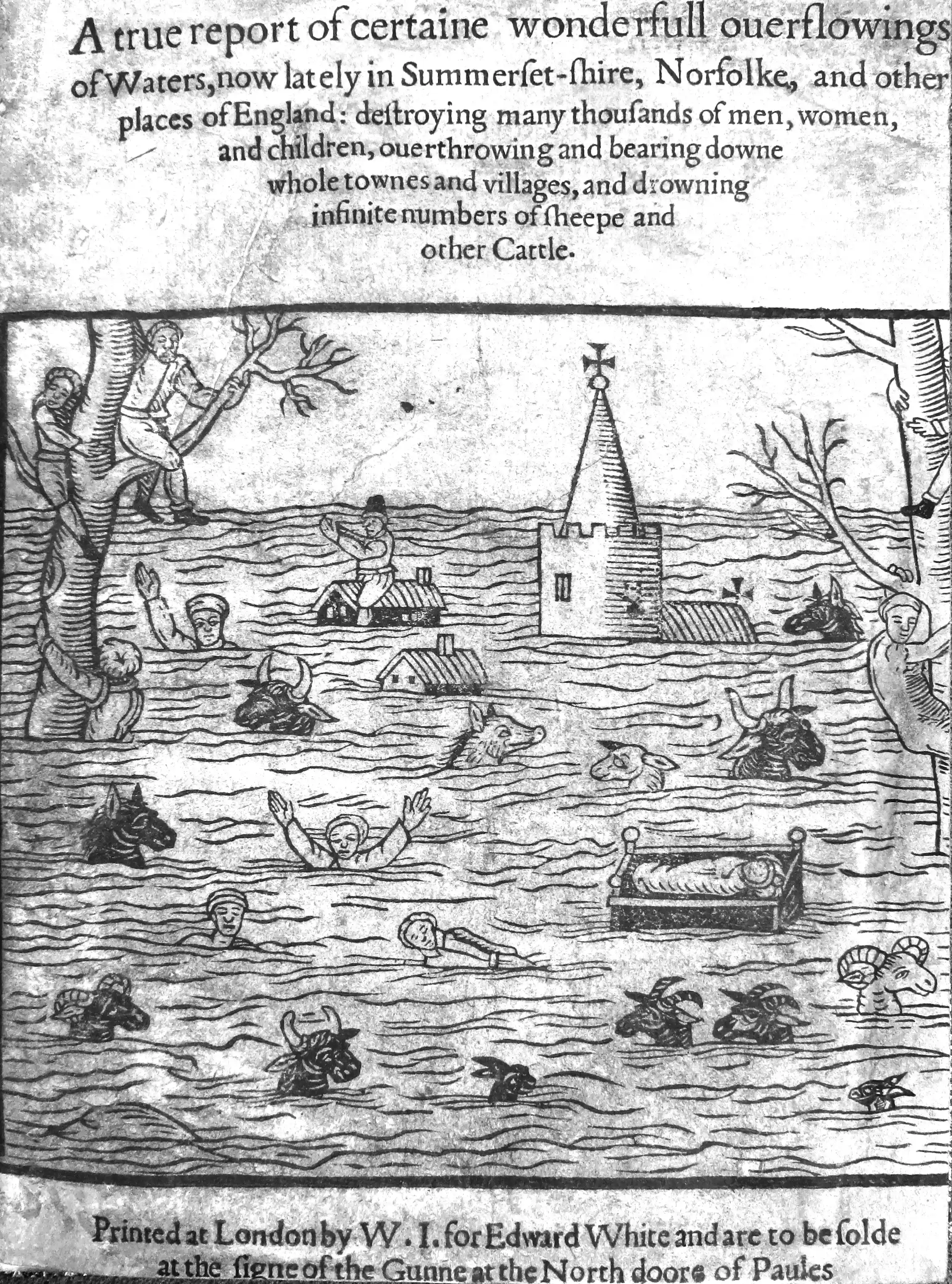 From Noah s Flood To Shakespeare s Storms What Literature Reveals from-noah-s-flood-to-shakespeare-s-storms-what-literature-reveals