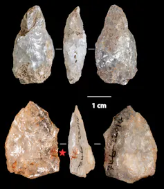 Six fragments of shiny white and brown stone on a black background.