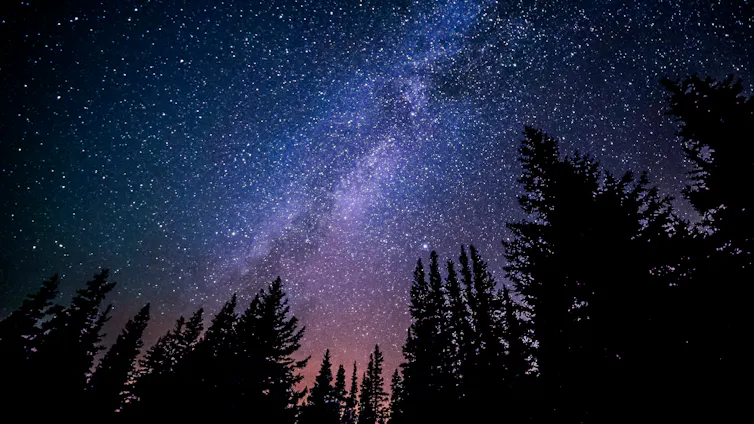A starry sky, silhouetted by trees.