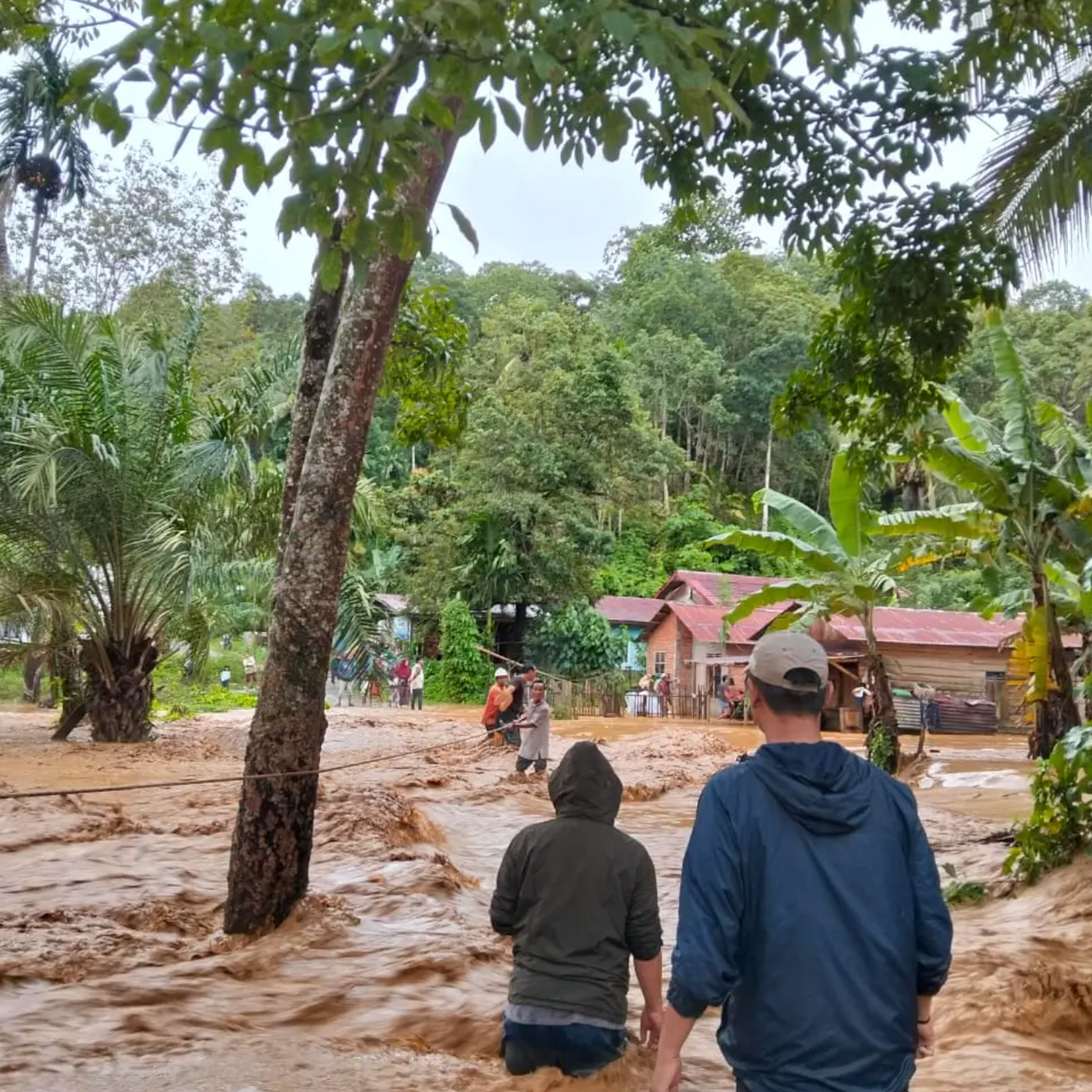 Kondisi banjir sumatra yang melanda wilayah Kabupaten Padang Sidempuan Provinsi Sumatera Utara, Selasa (25/11)