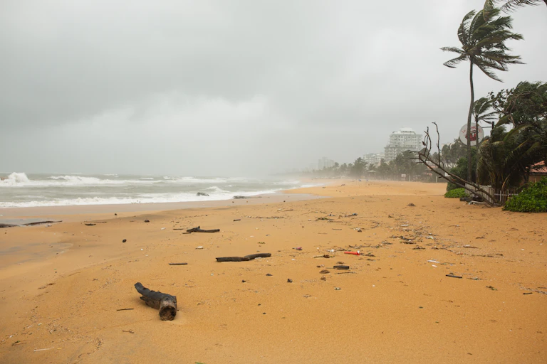 stormy seas with palm trees and city in distance