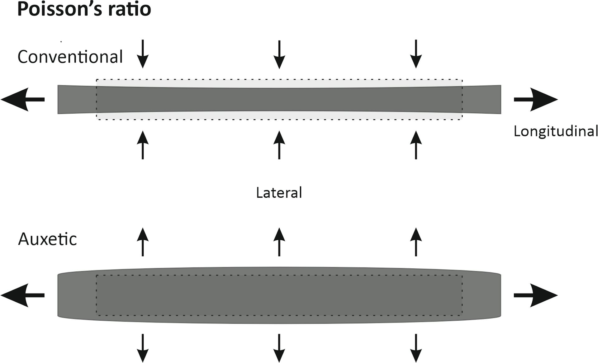 file 20251203 56 36e6mj.jpg?ixlib=rb 4.1