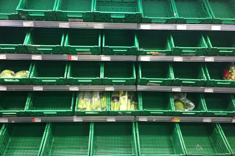 empty green shelves in supermarket, a few veg