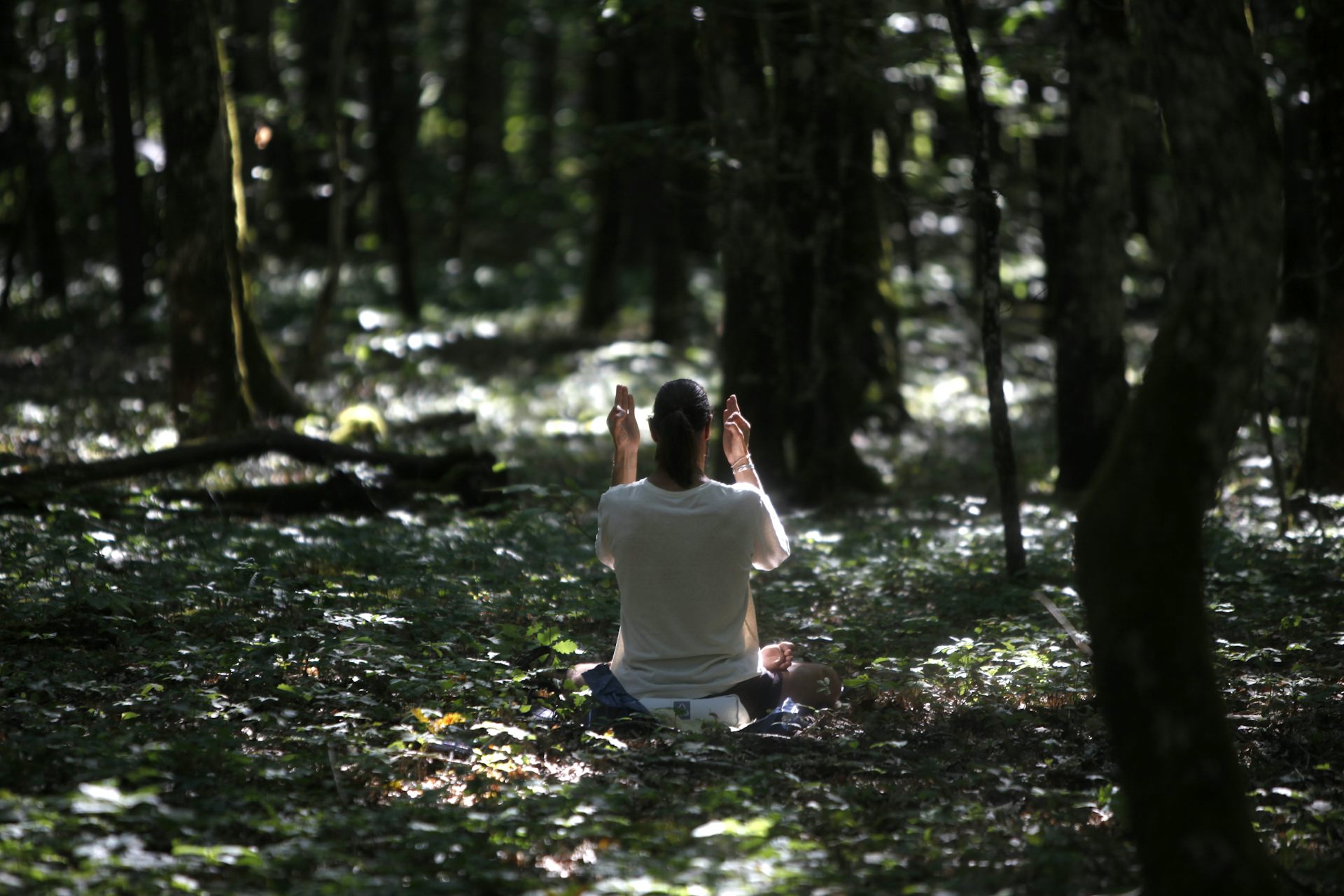 A woman meditates in the forest.