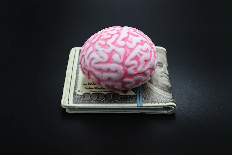 Dollar wallet and human brain on black background