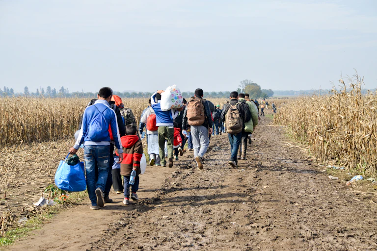 A group of refugees near the border between Serbia and Croatia.