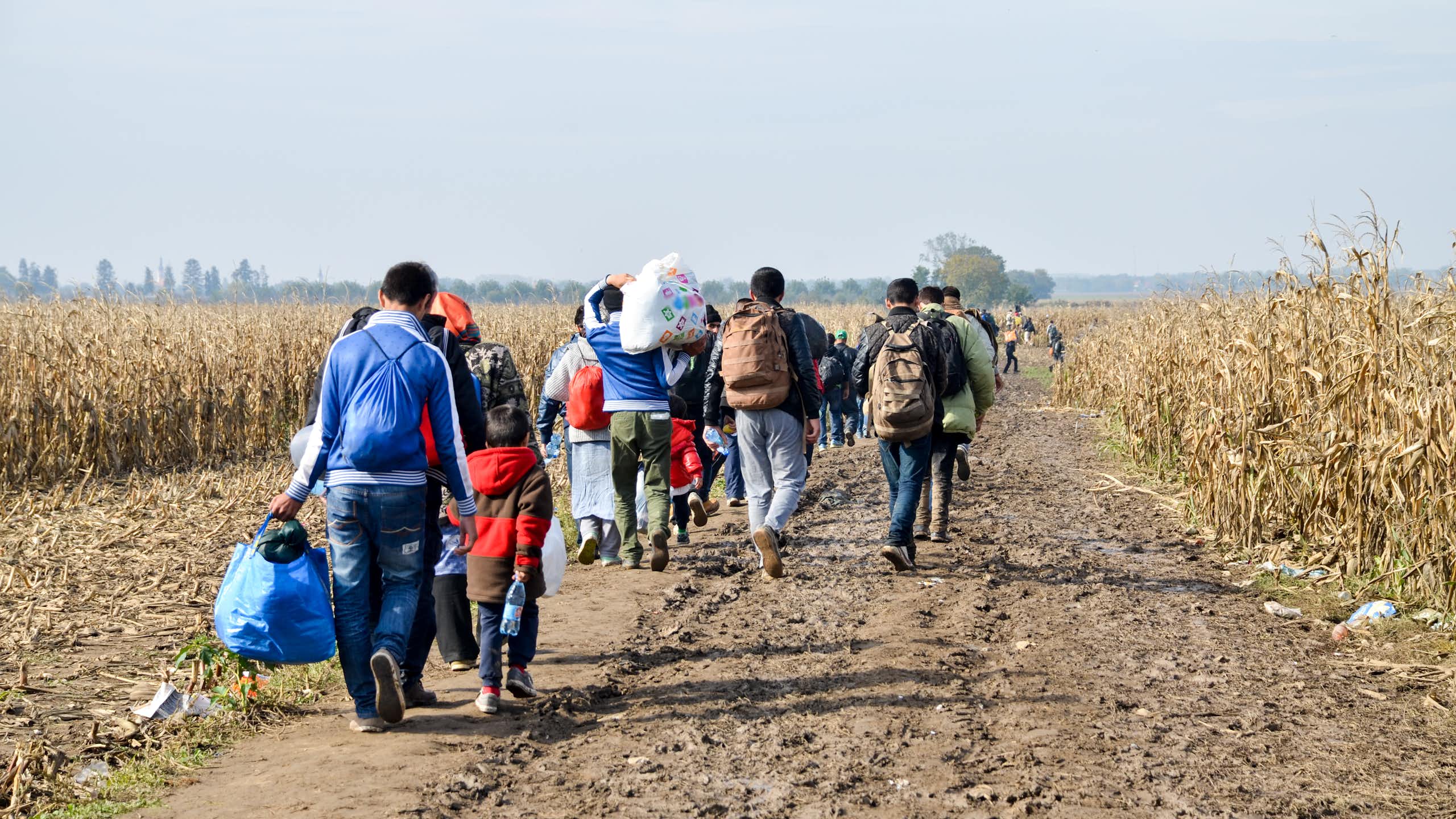 A group of refugees near the border between Serbia and Croatia.