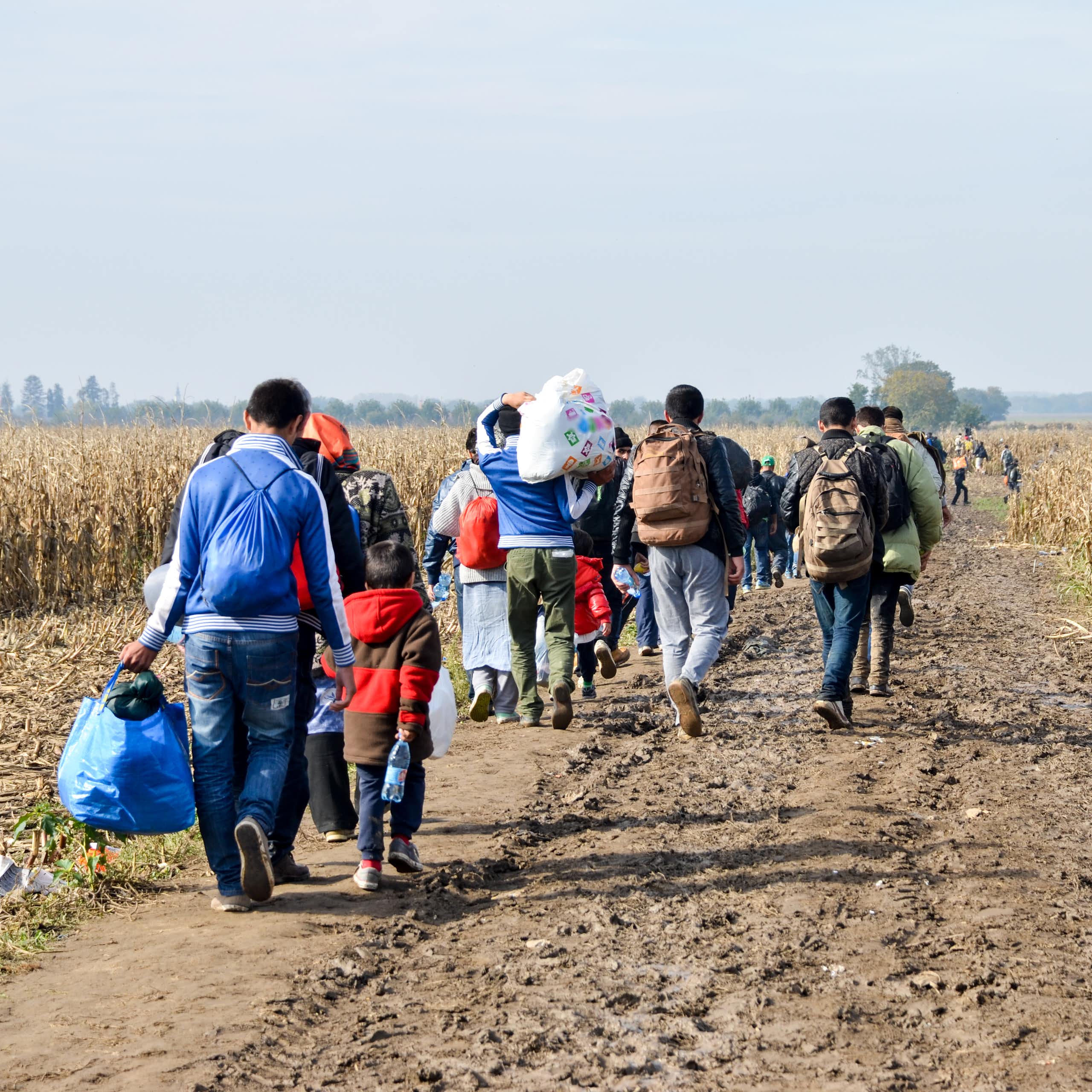 A group of refugees near the border between Serbia and Croatia.