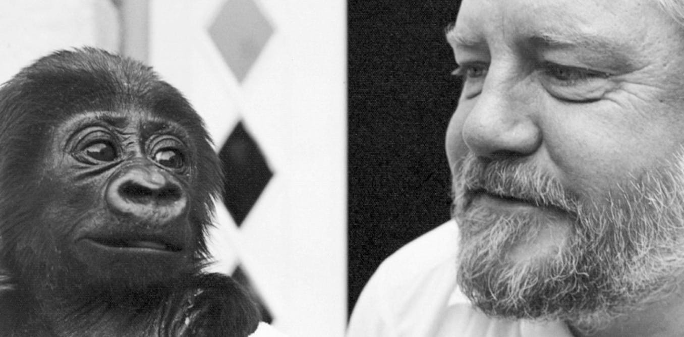 gerald durrell Visit amazoncouk's gerald durrell page and shop for all gerald durrell books check out pictures, bibliography, and biography of gerald durrell. gerald durrell Visit amazoncouk's gerald durrell page and shop for all gerald durrell books check out pictures, bibliography, and biography of gerald durrell.