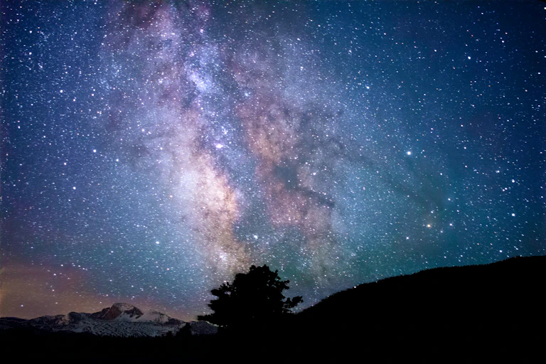 A tree and a mountain ridge silhouetted against a star-filled sky