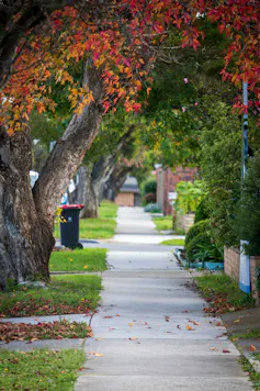 street trees and footpath in Australian city.