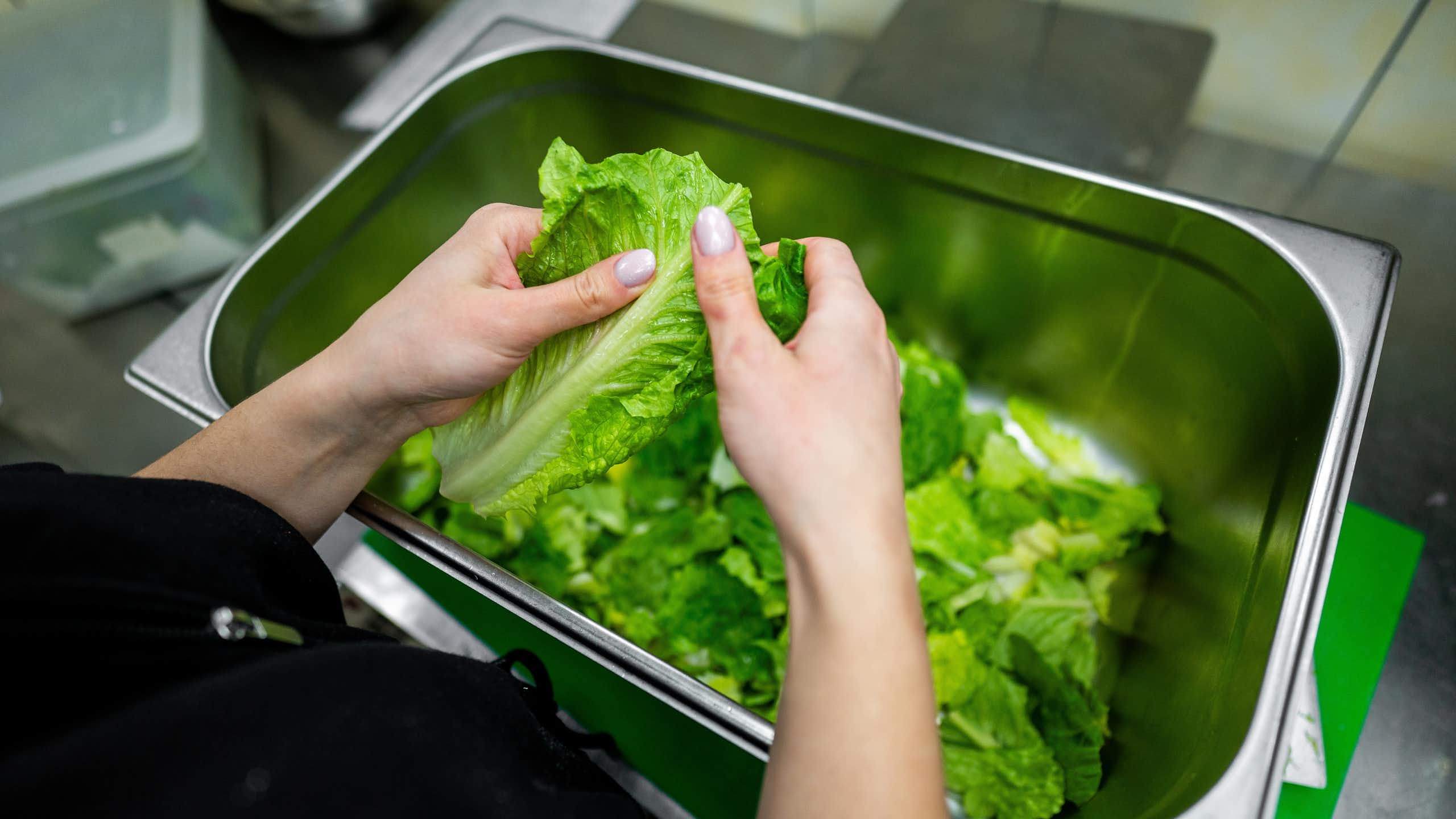 ¿Por qué la lechuga se queda lacia y se estropea tan pronto?