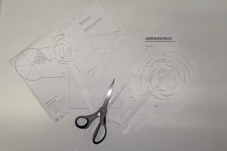 A photograph of papercraft designs, some cut out into snowflake-like shapes, and a pair of scissors.