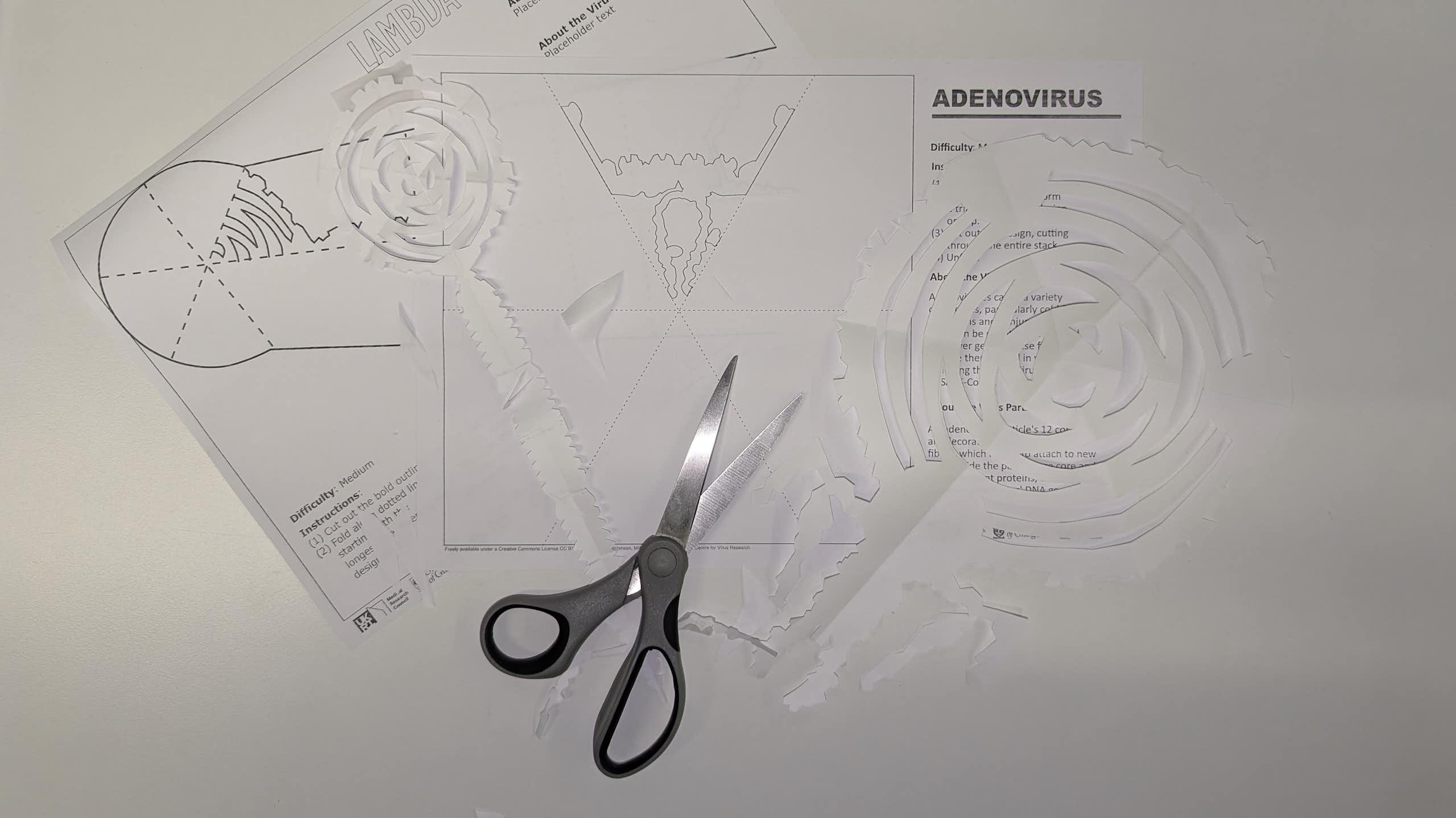 A photograph of papercraft designs, some cut out into snowflake-like shapes, and a pair of scissors.