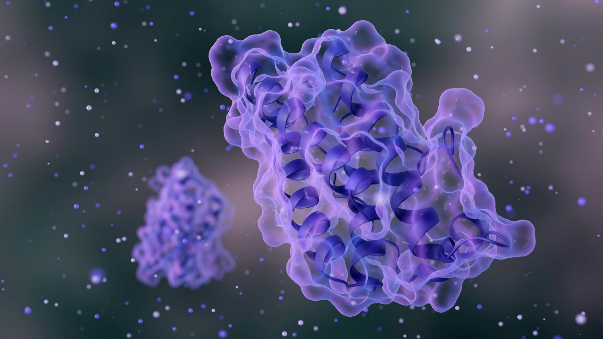 Représentation numérique en 3D d’une protéine.