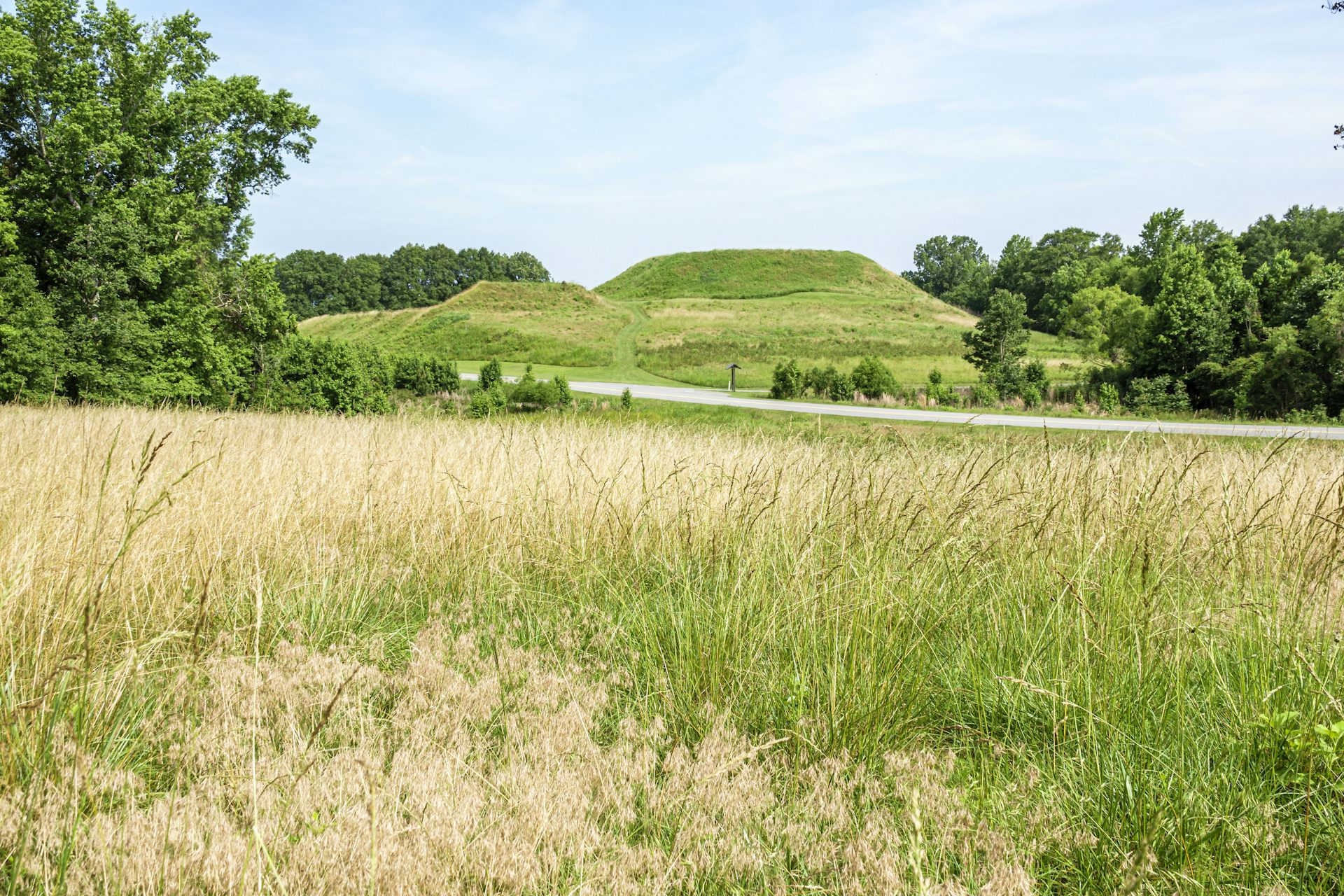 A landscape showing a field with trees and a large mound with a flat top in the background.