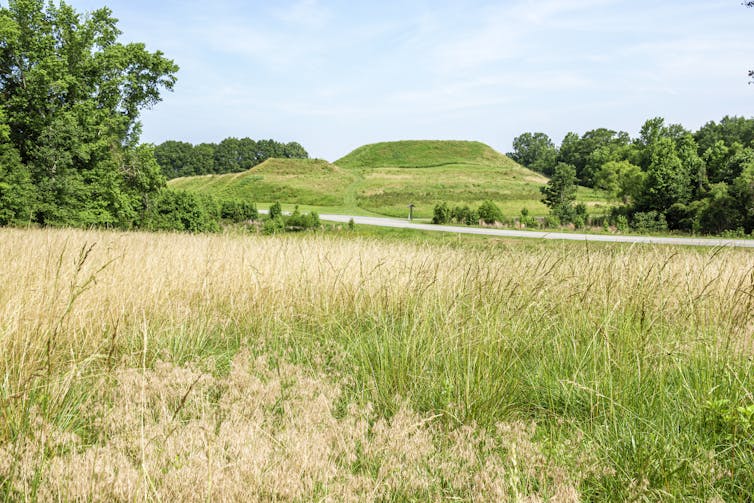 A landscape showing a field with trees and a large mound with a flat top in the background.