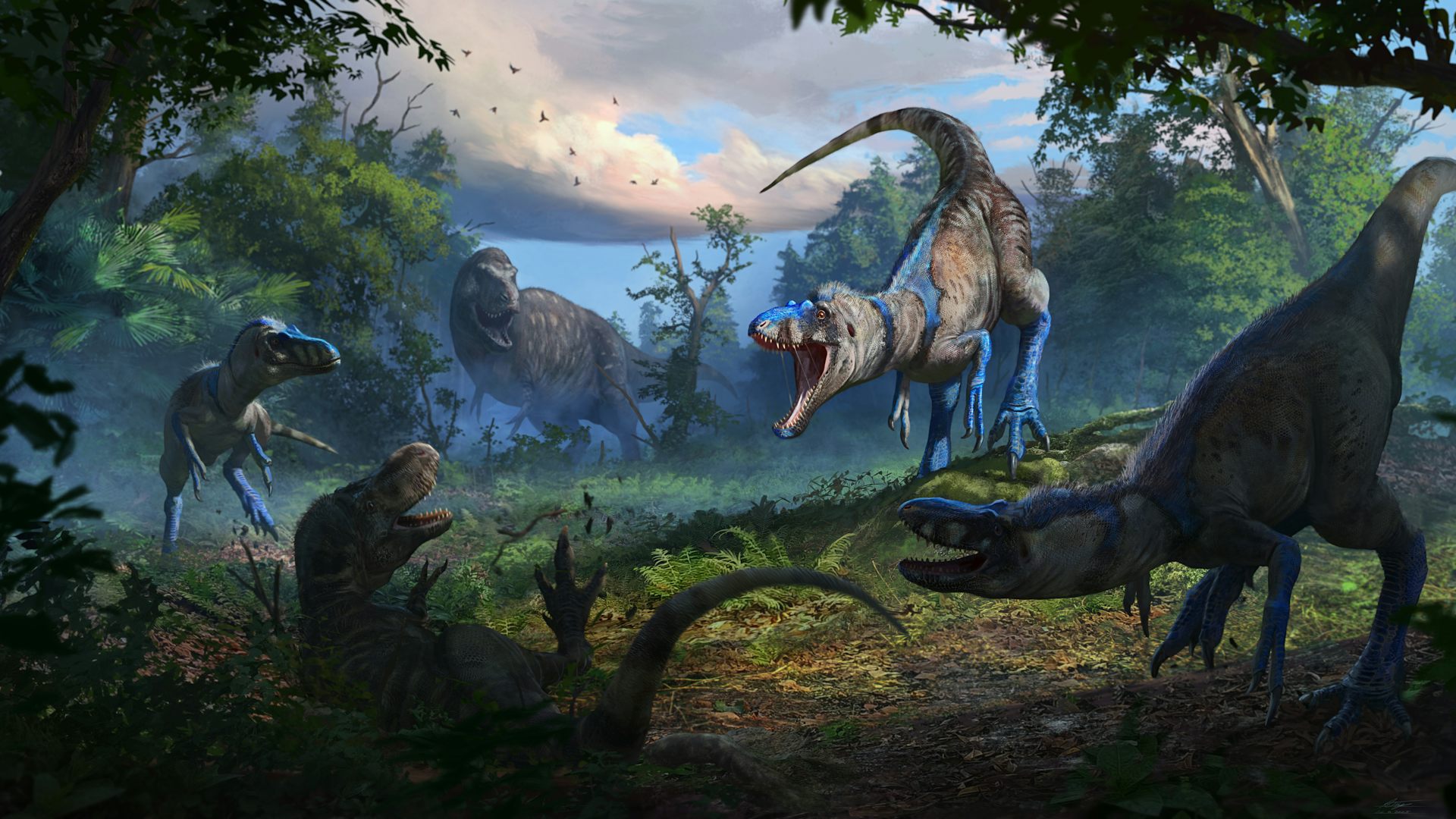 Illustration of dinosaurs preparing for attack.