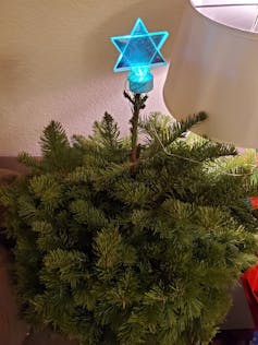 A blue light in the shape of a Star of David sits atop a small bit of greenery.