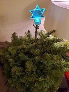 A blue light in the shape of a Star of David sits atop a small bit of greenery.