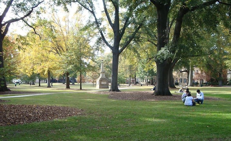 A green expanse of grass and trees is seen with people sitting under a tree.
