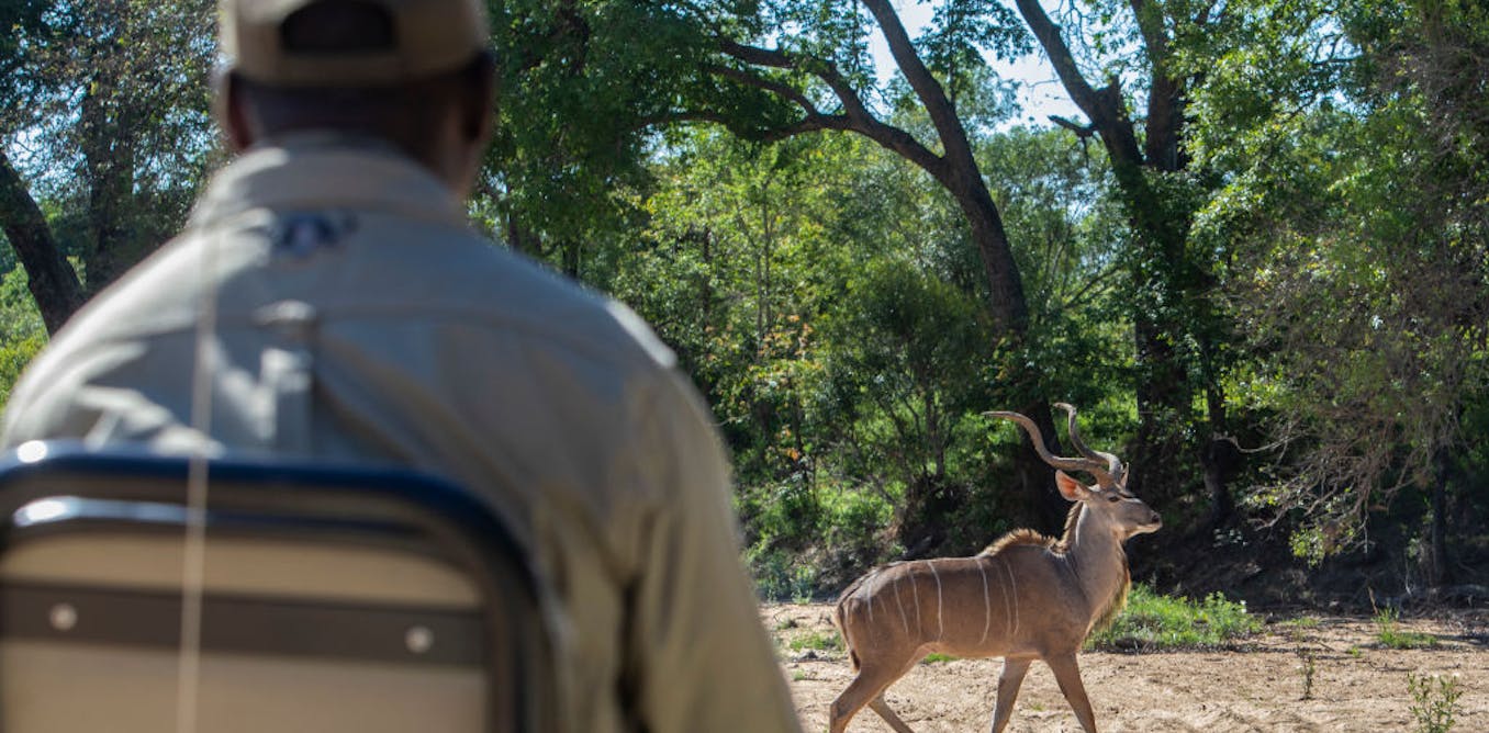 how new landholders could prosper from wildlife and not just farming how new landholders could prosper from wildlife and not just farming
