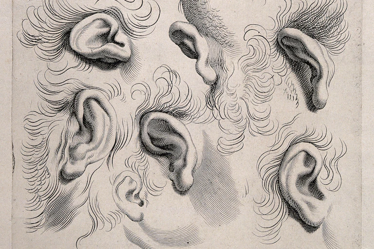 Engraving of ears surrounded by hair