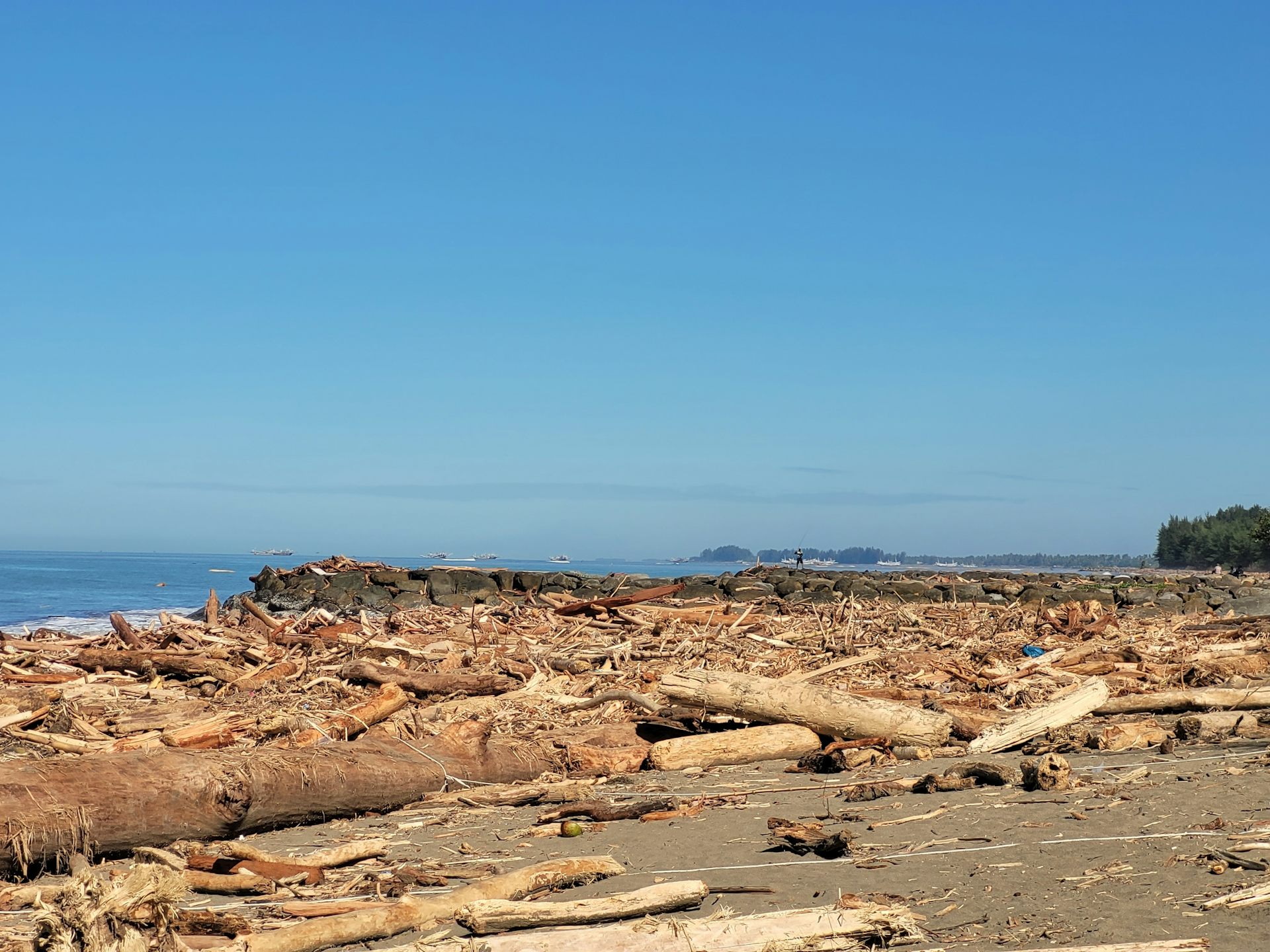 Warga terdampak bisa menggugat pemerintah ke pengadilan atas dasar perlindungan lingkungan hidup dan HAM. 