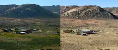 Two photos of the same landscape next to each other; one shows green grass and the other a dry environment