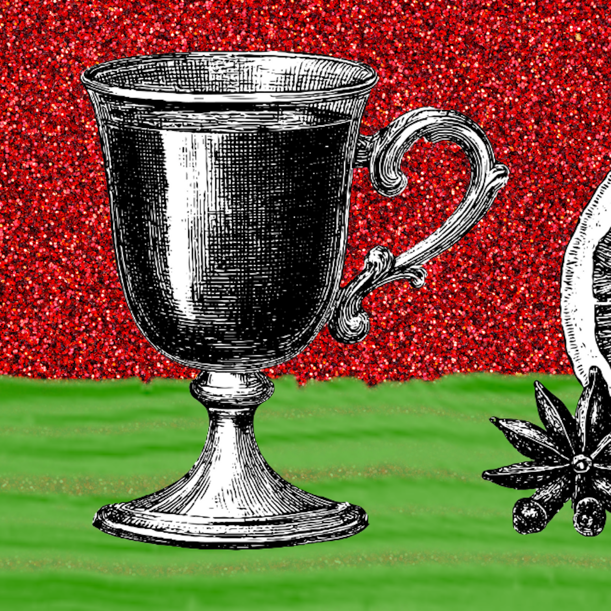 Mulled wine, an orange and star anise.