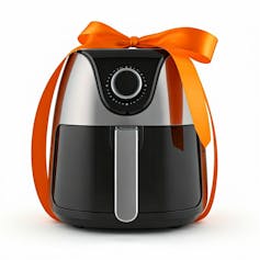 Gift-wrapped air fryer