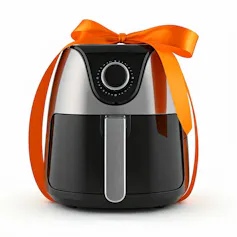 Gift-wrapped air fryer