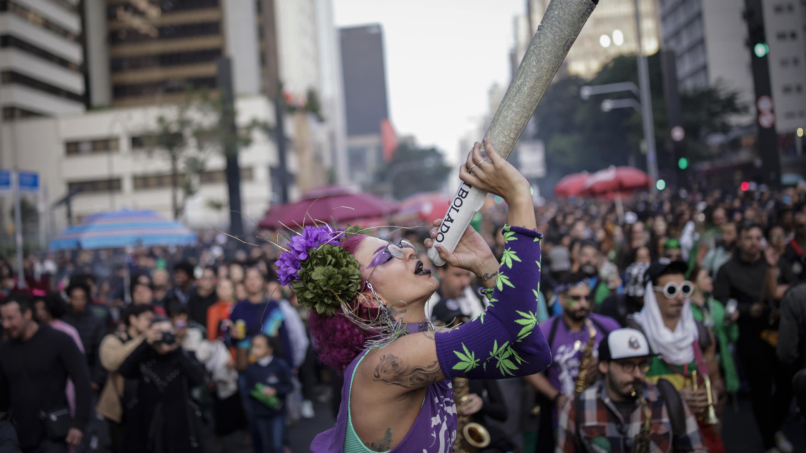 Personalidade curiosa pode ser o principal fator para o uso recreativo de Cannabis